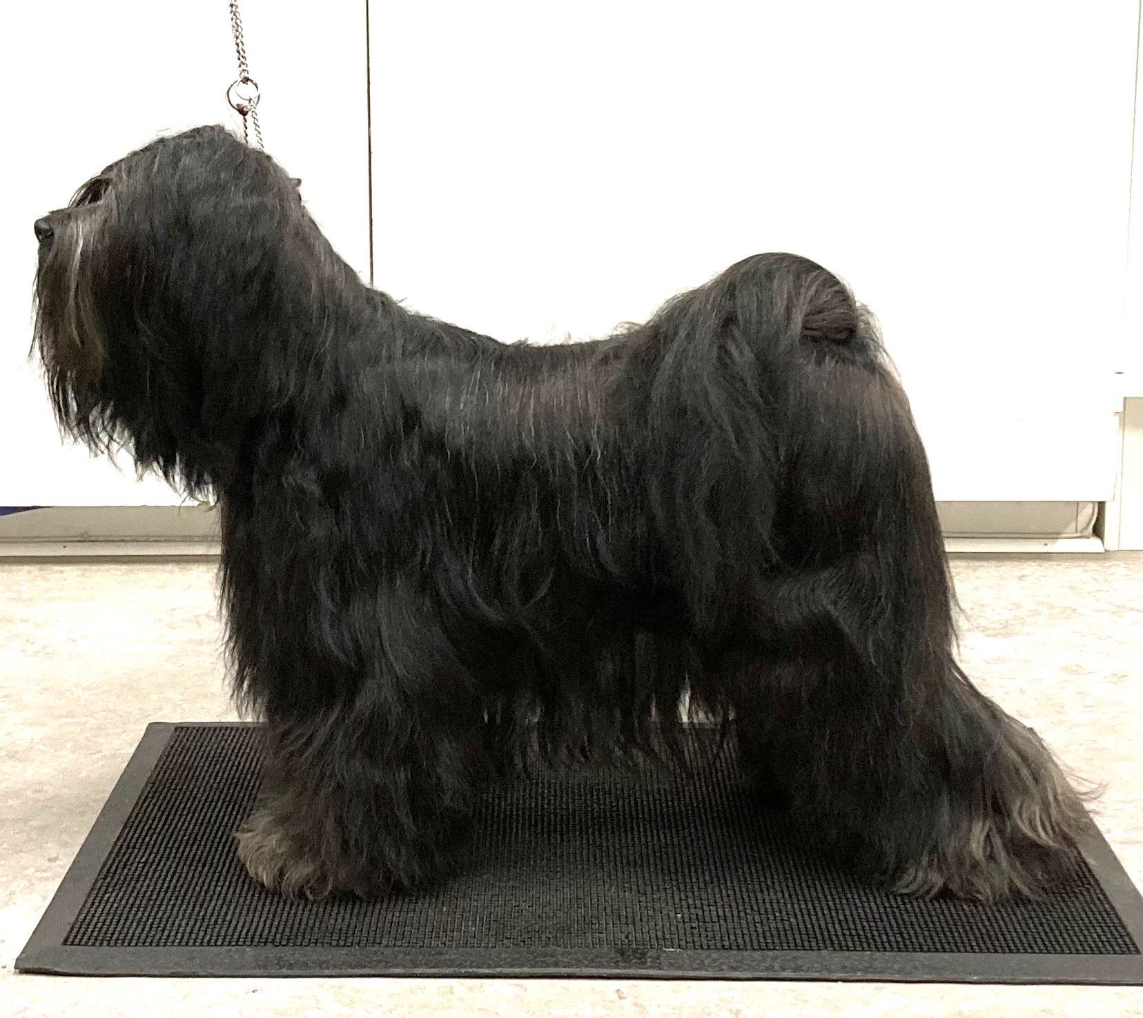 12.10.2025 Ny Dansk Champion